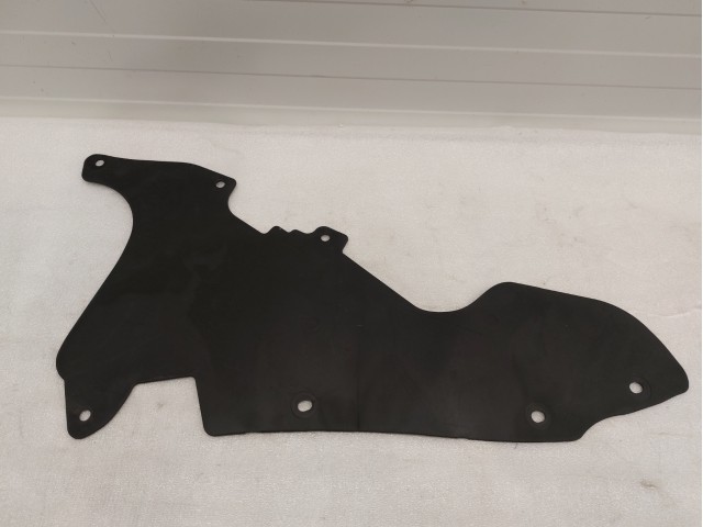 Rear Shield, LH